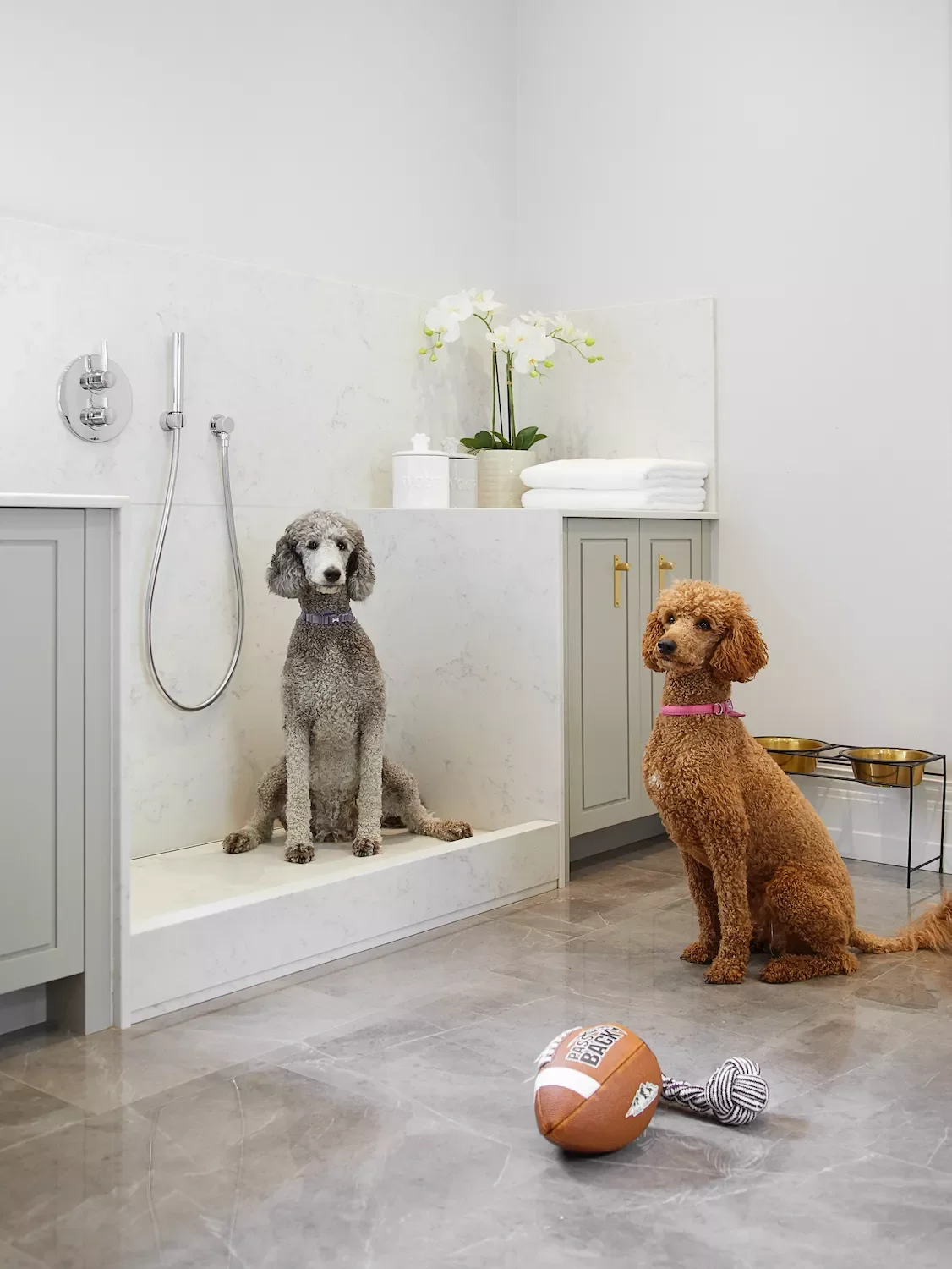 Luxurious Dog Spa