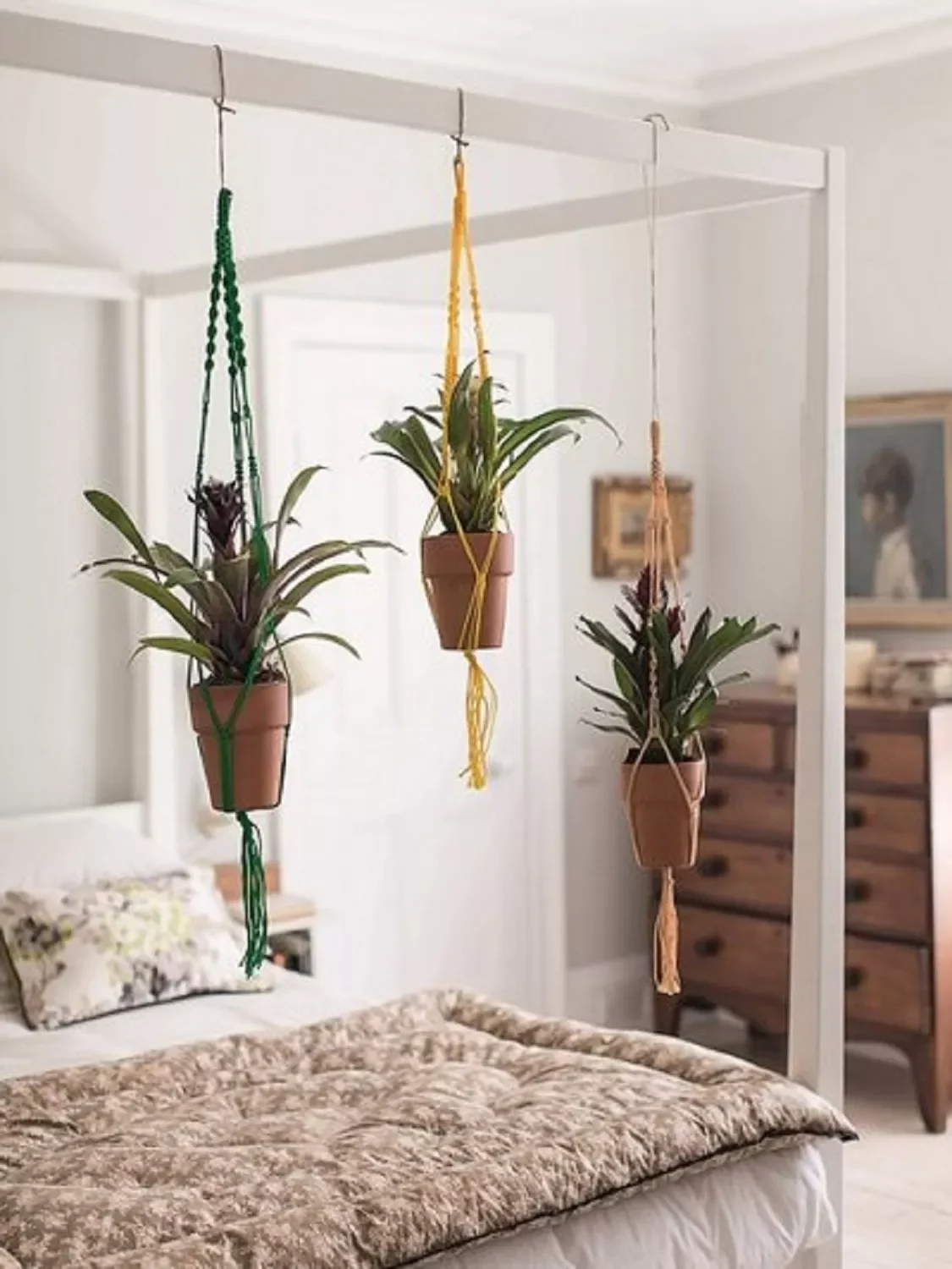 Macrame Planter Hangers