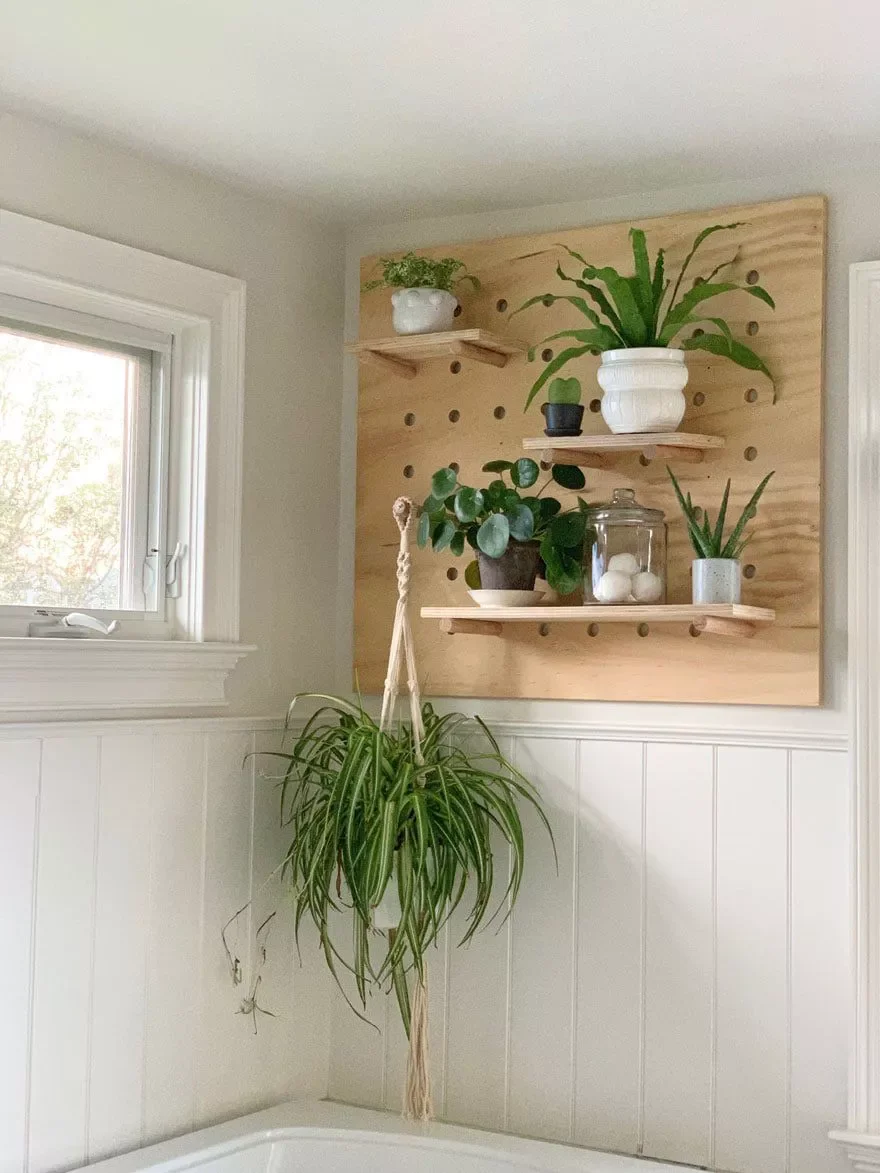 Make a DIY Pegboard Plant Shelf