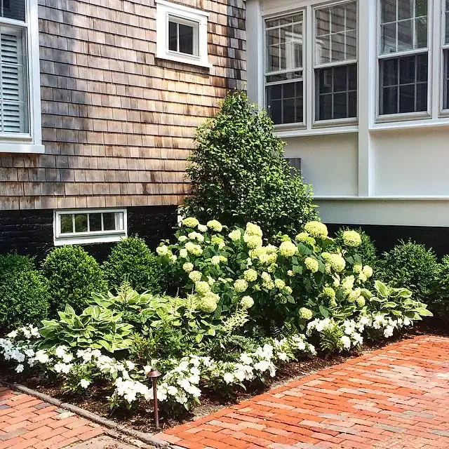 Manicured Corner Garden