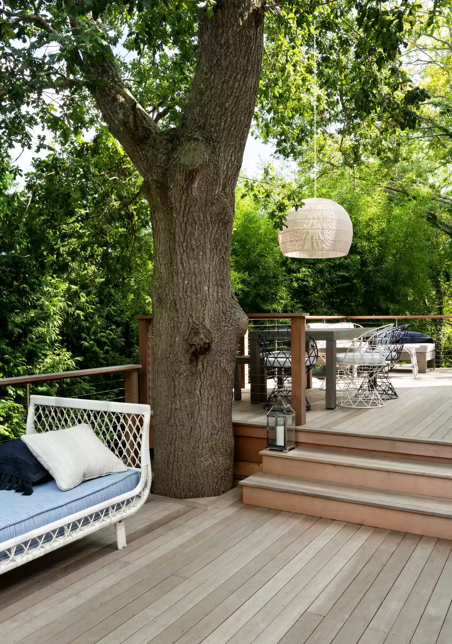 Mature Tree Deck