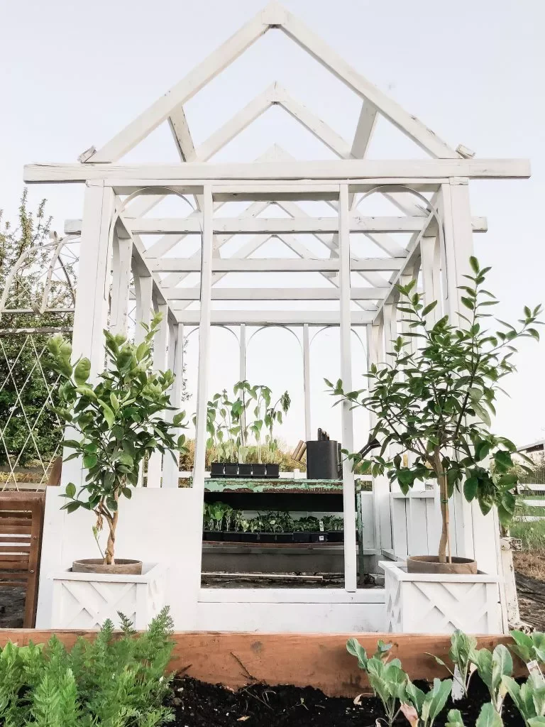 Mini Greenhouse