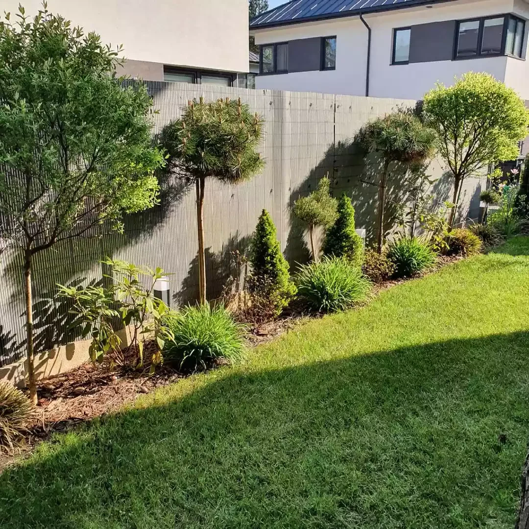 Natural Reed Fencing