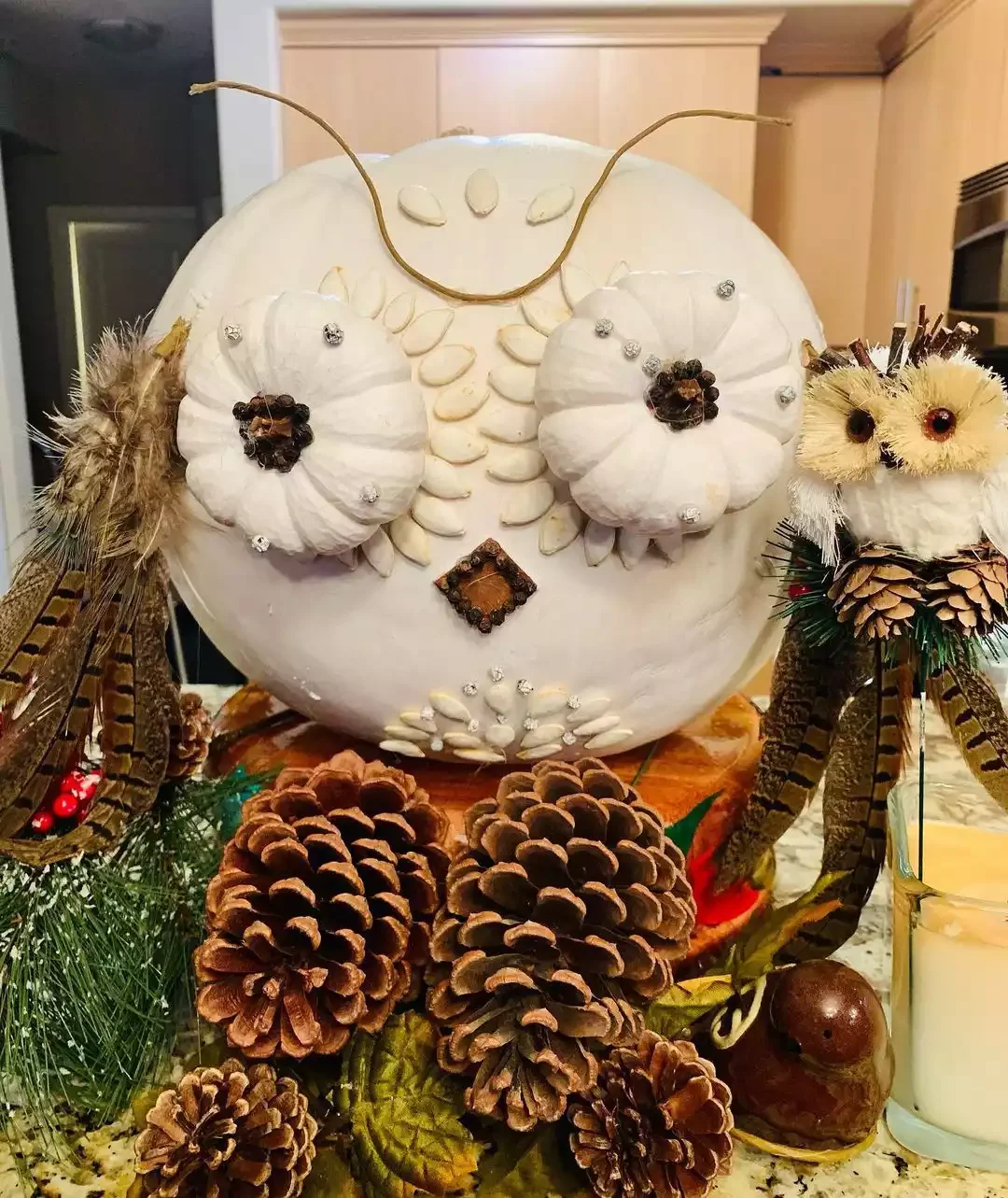 Owl Pumpkin