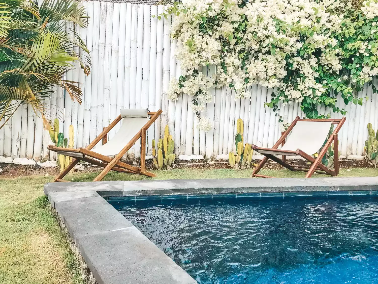 Painted Bamboo Fencing