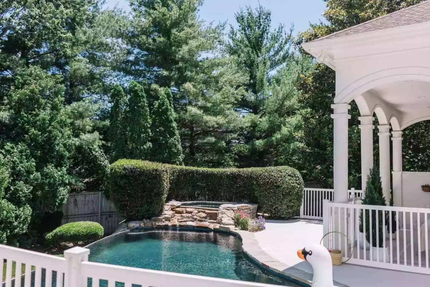 Pair Hedges and a Vinyl Fence