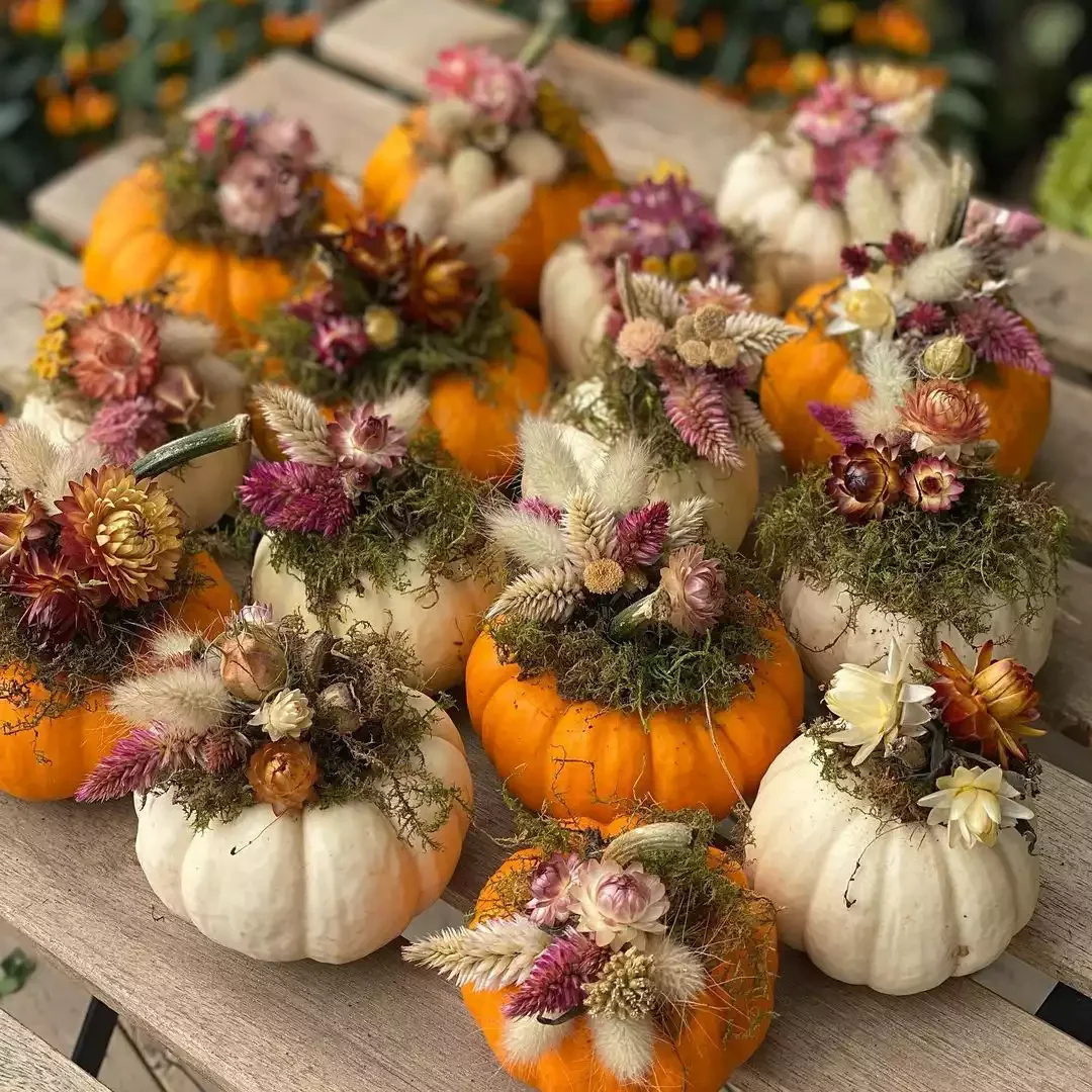 Party Favor Pumpkins