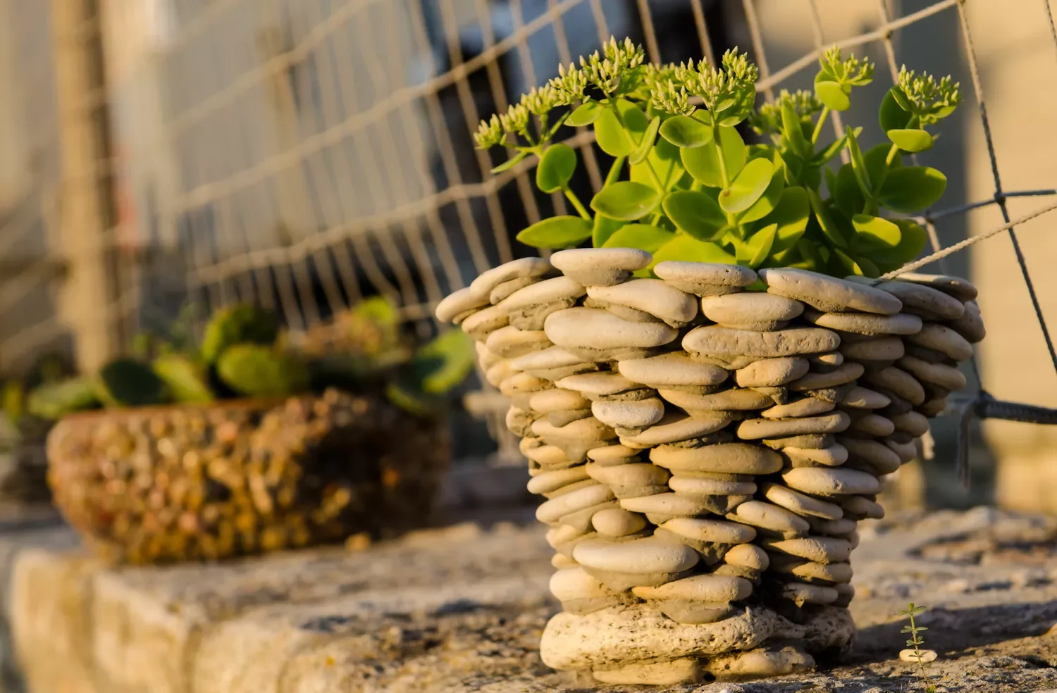 Pebble Pots