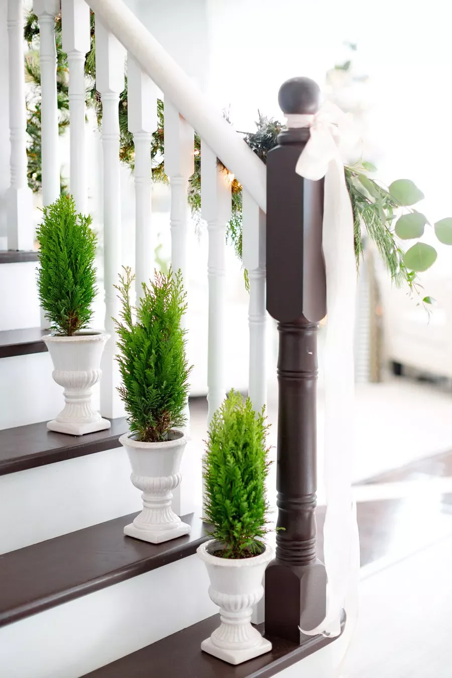 Place Plants