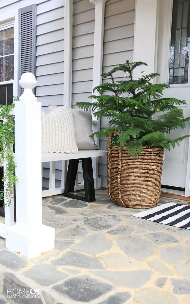 Place a Tree in a Basket
