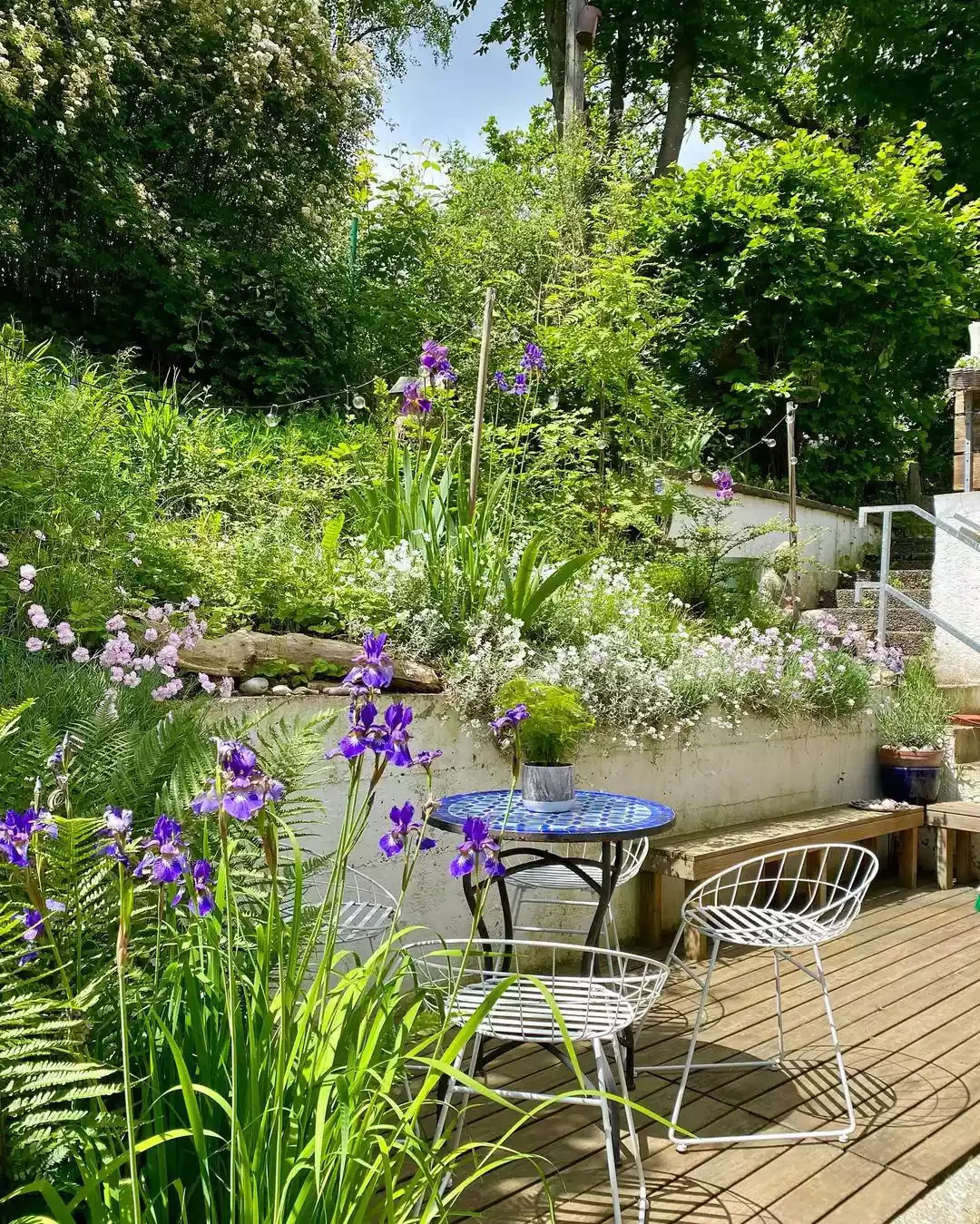 Plant Some Perennials