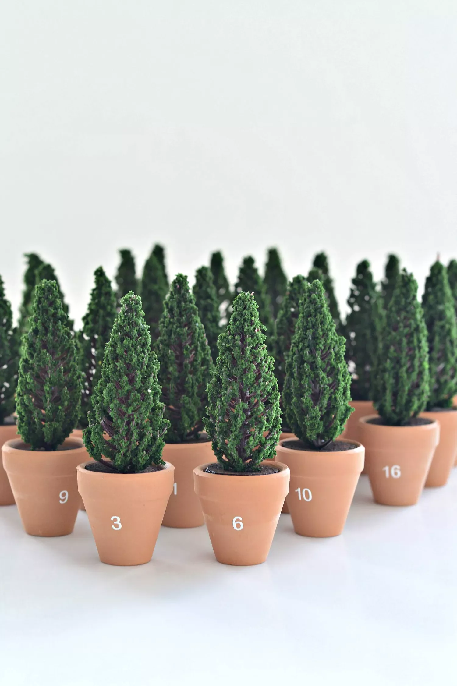 Plant a Forest