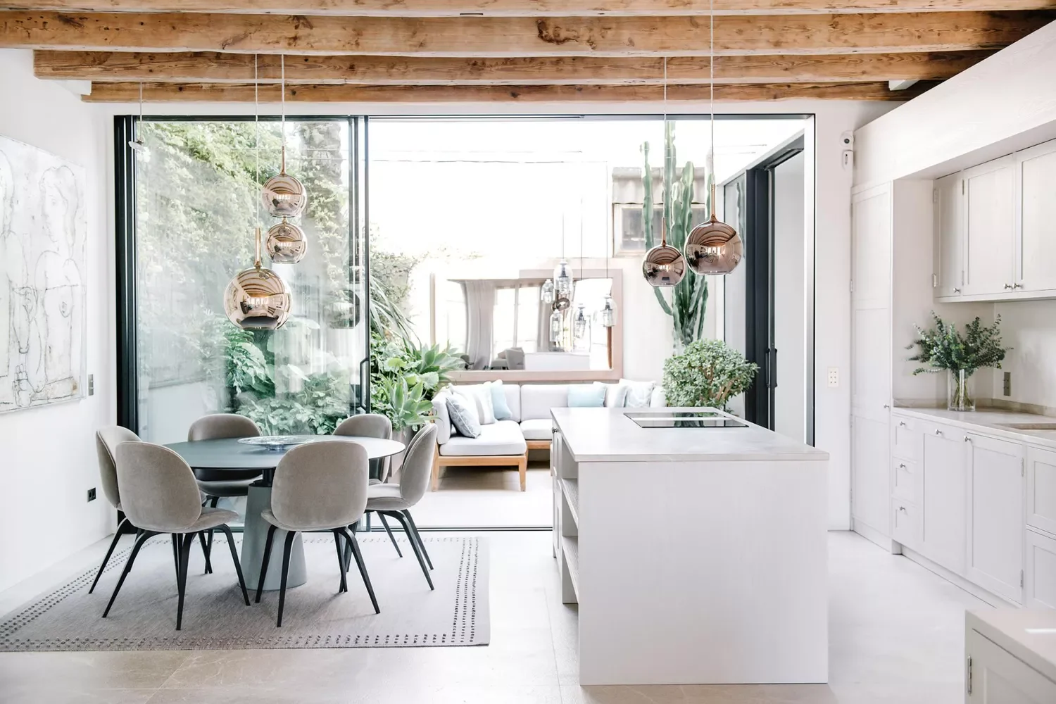 Plant a Living Wall