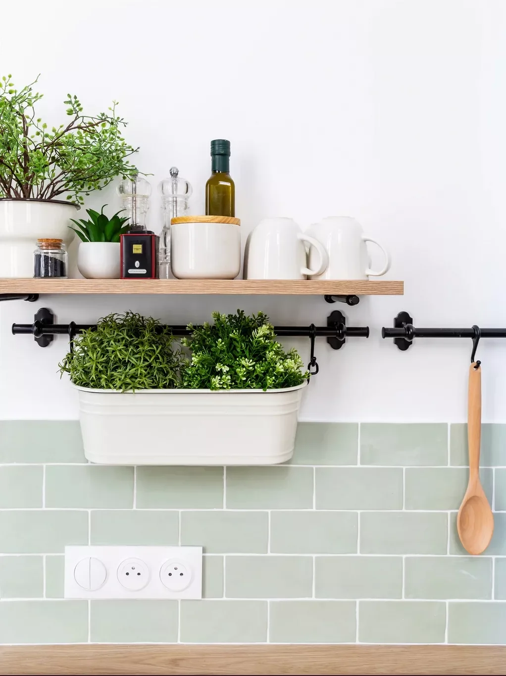 Plant an Herb Garden
