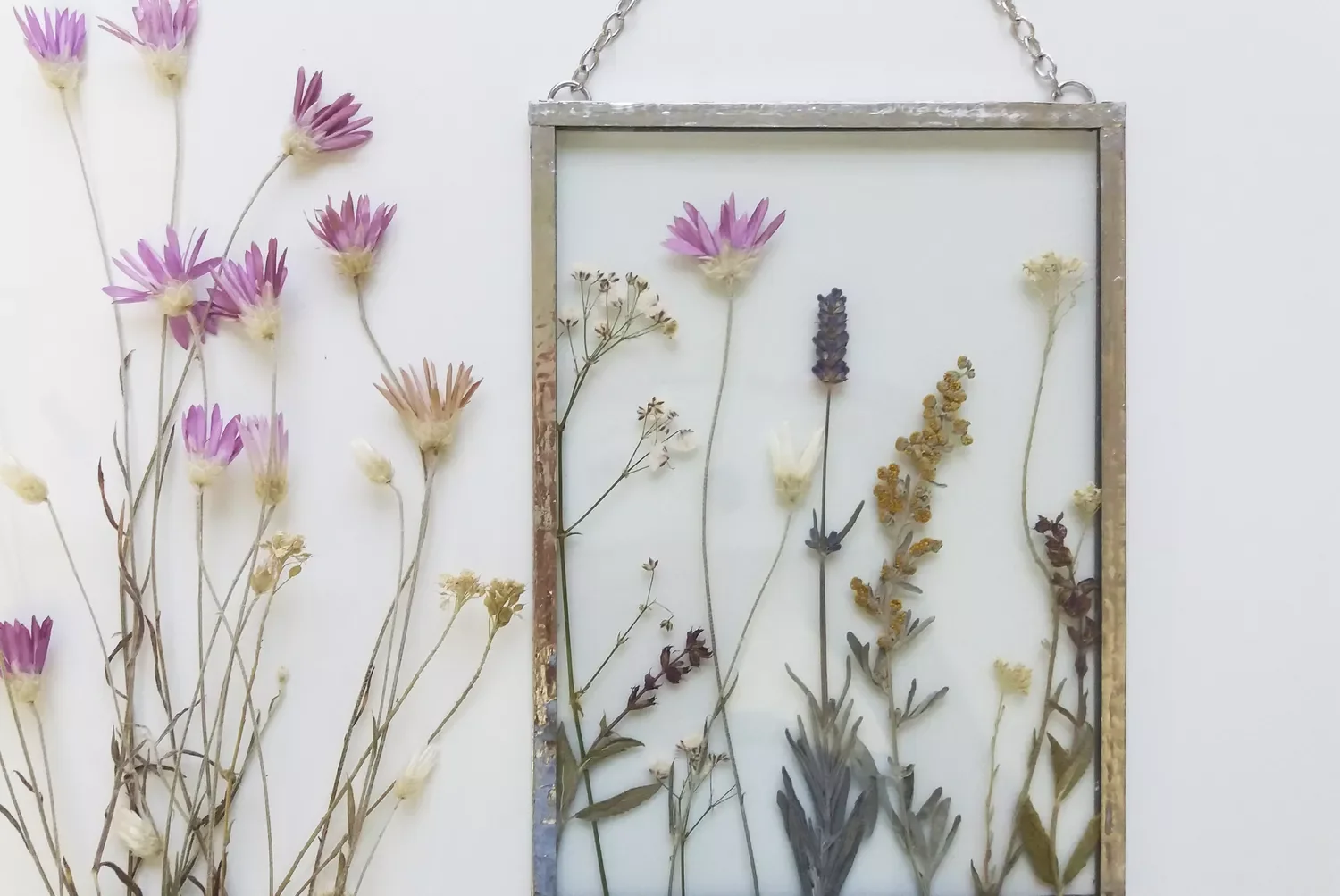 Press Flowers to Display