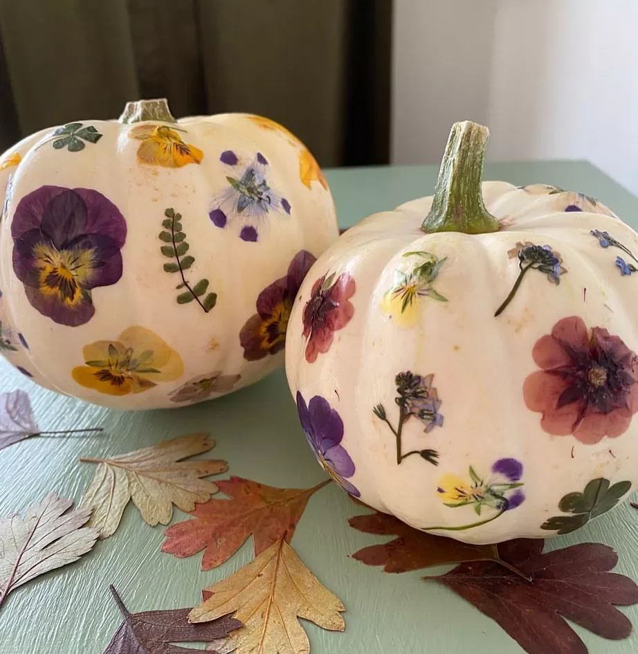Pressed Dried Flowers