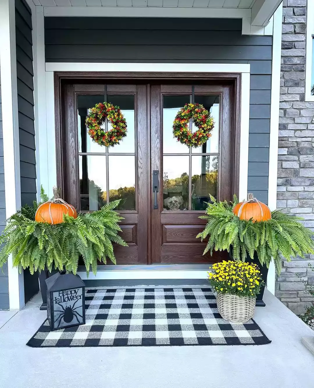 Prop Pumpkins in Ferns
