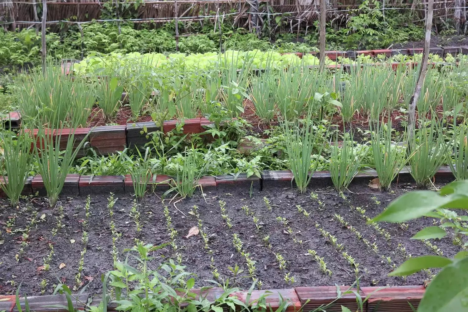 Recycle Brick Pavers for Edging