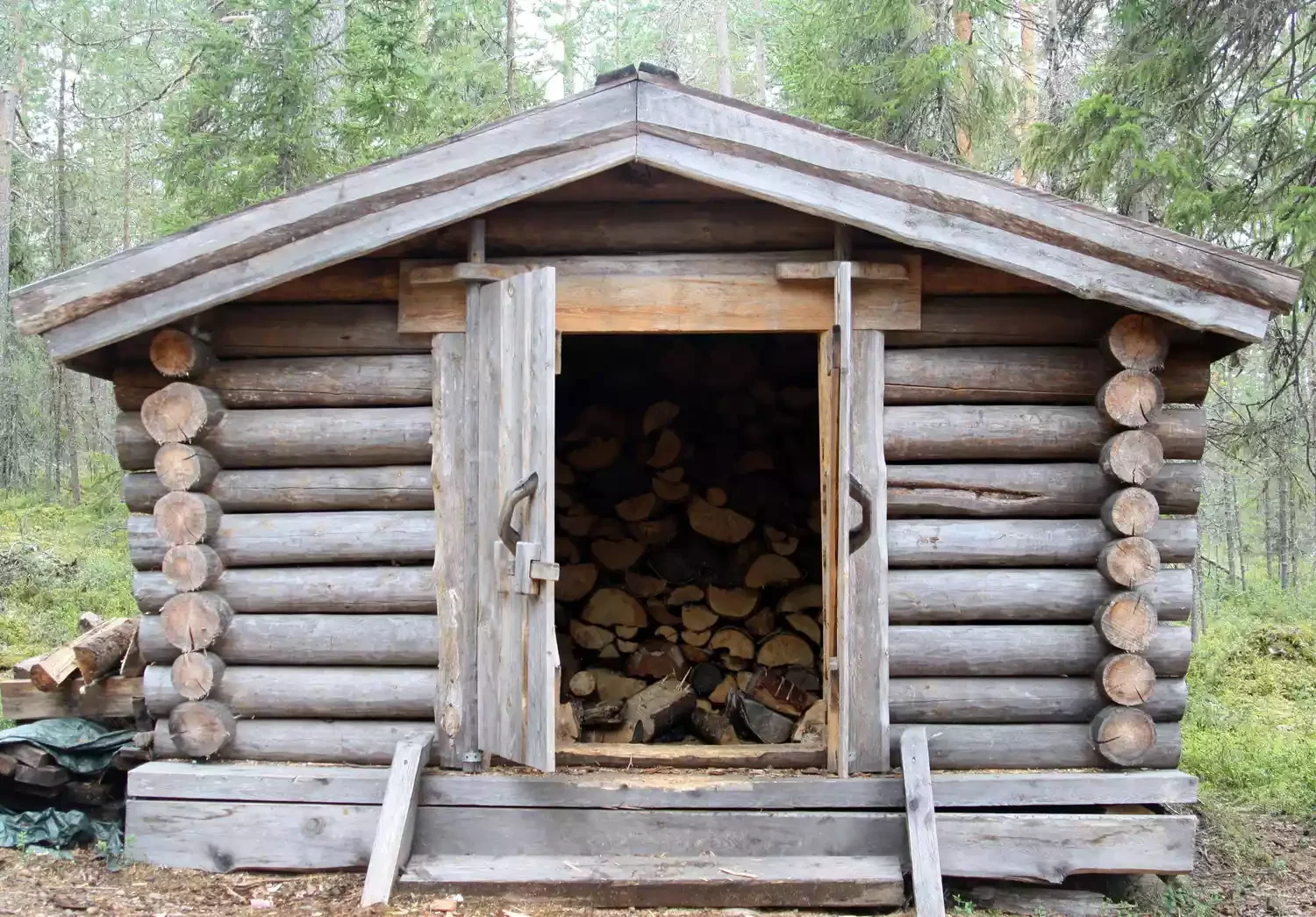 Repurposed Shed with a Roof