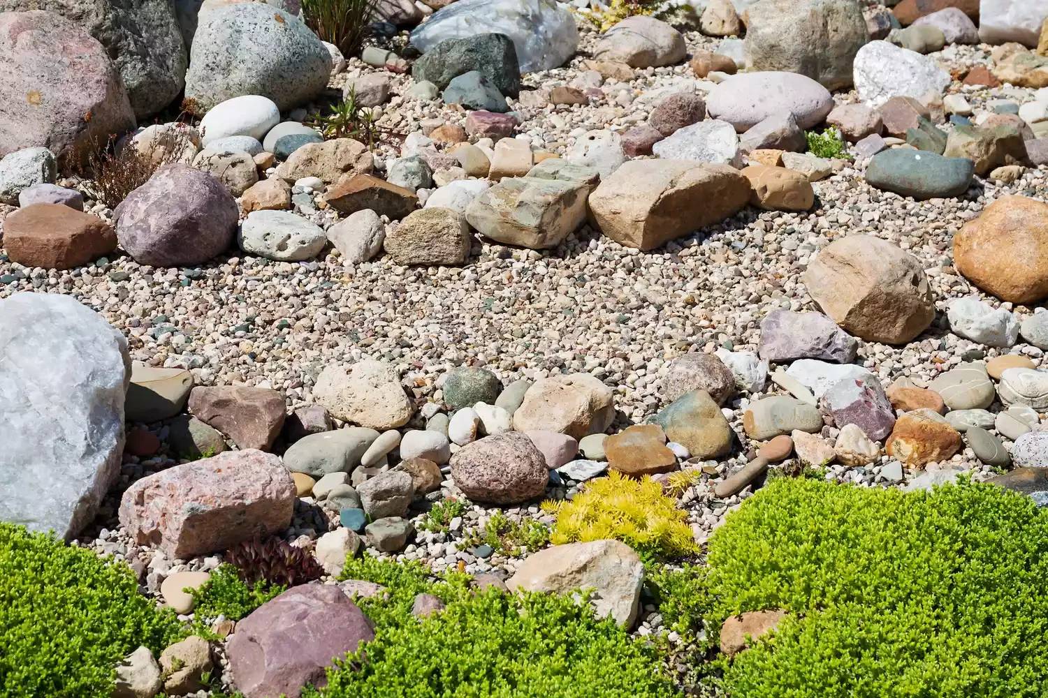 Rock Garden + Groundcovers