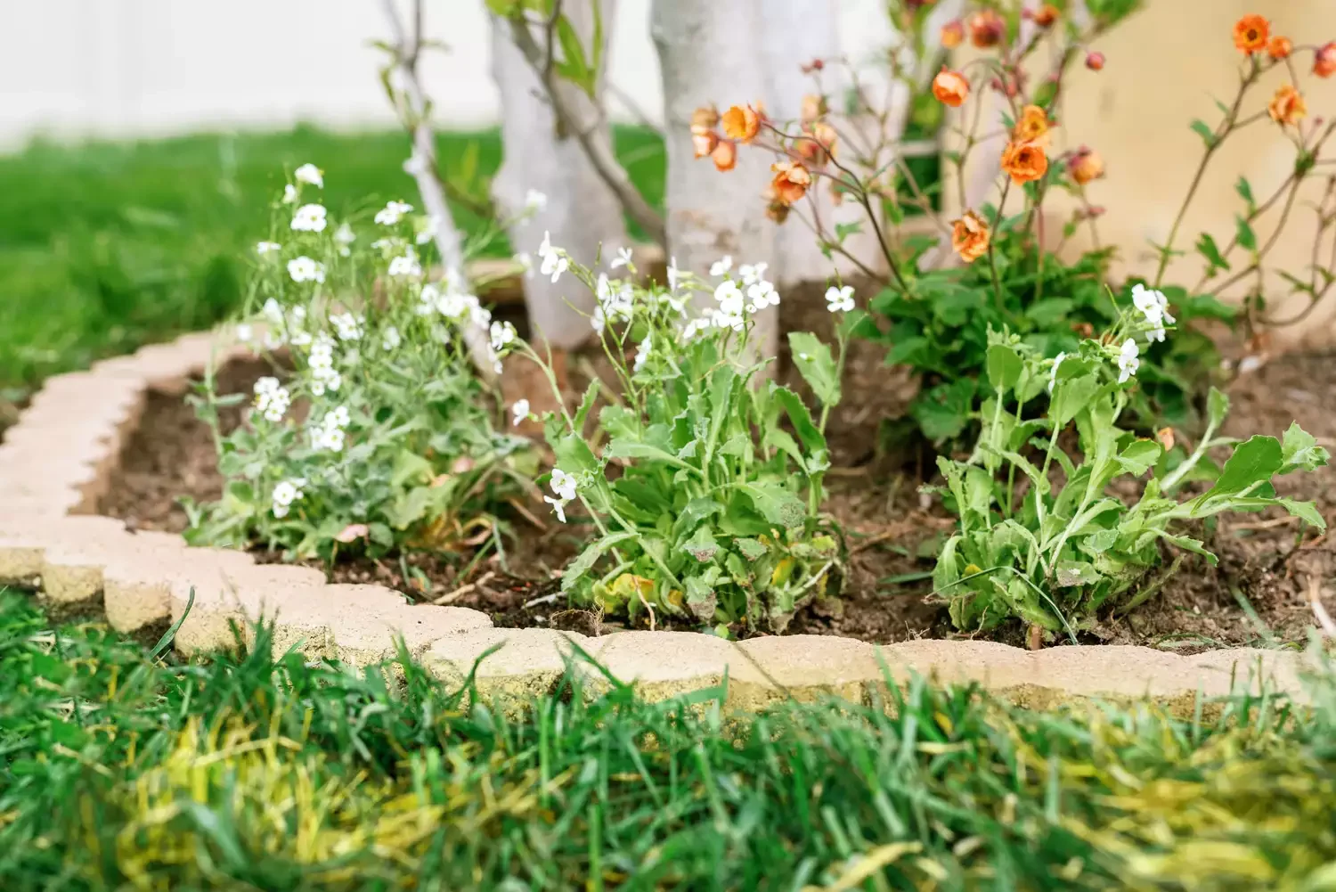 Round Brick Edging