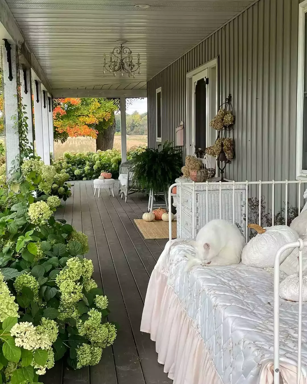 Save Some Hydrangeas