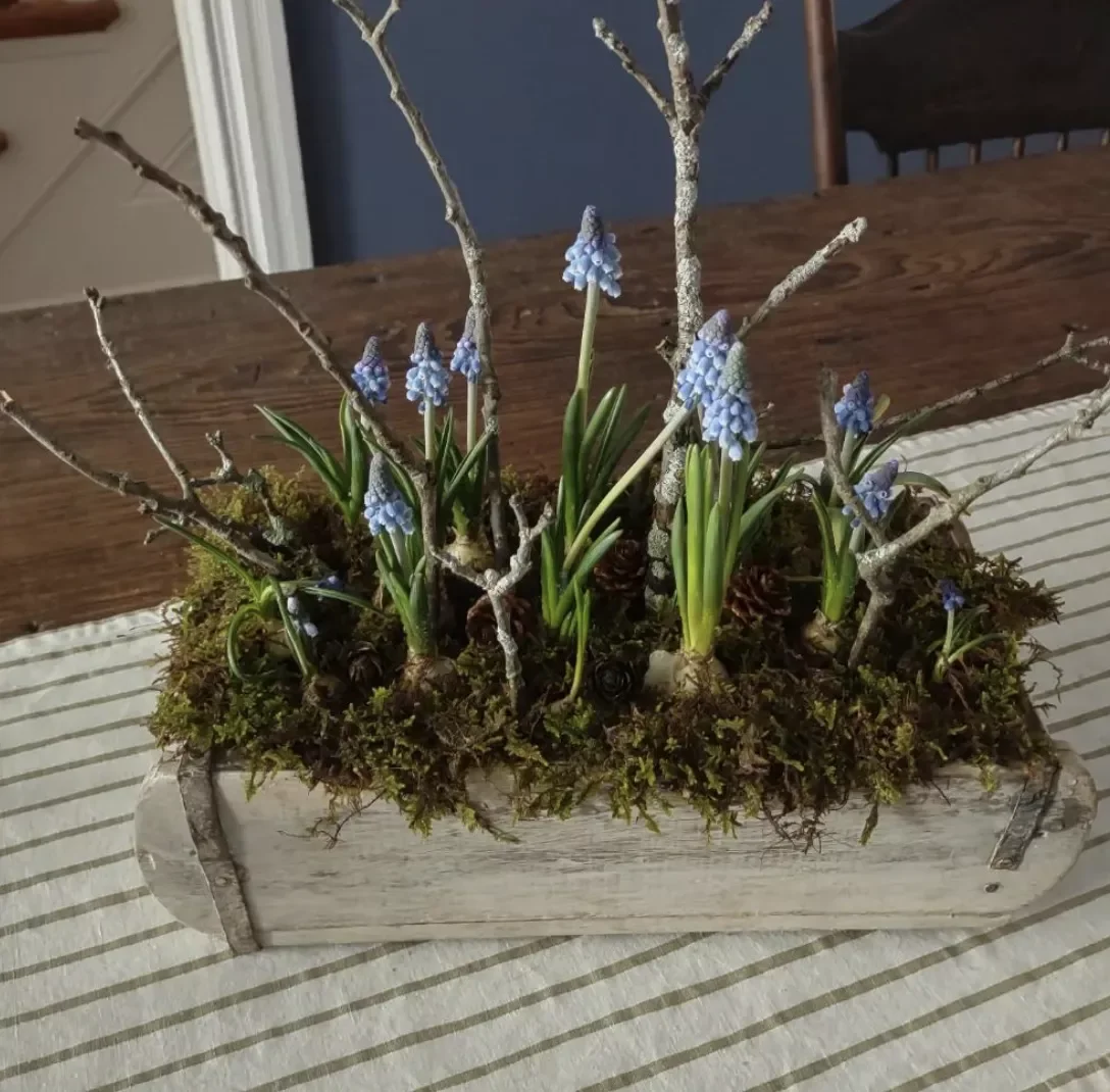 Say Yes to Moss