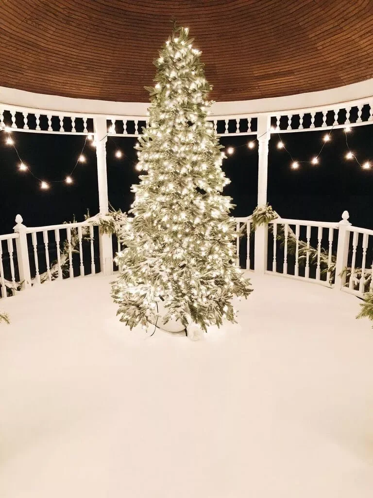 Set Up an Outdoor Tree