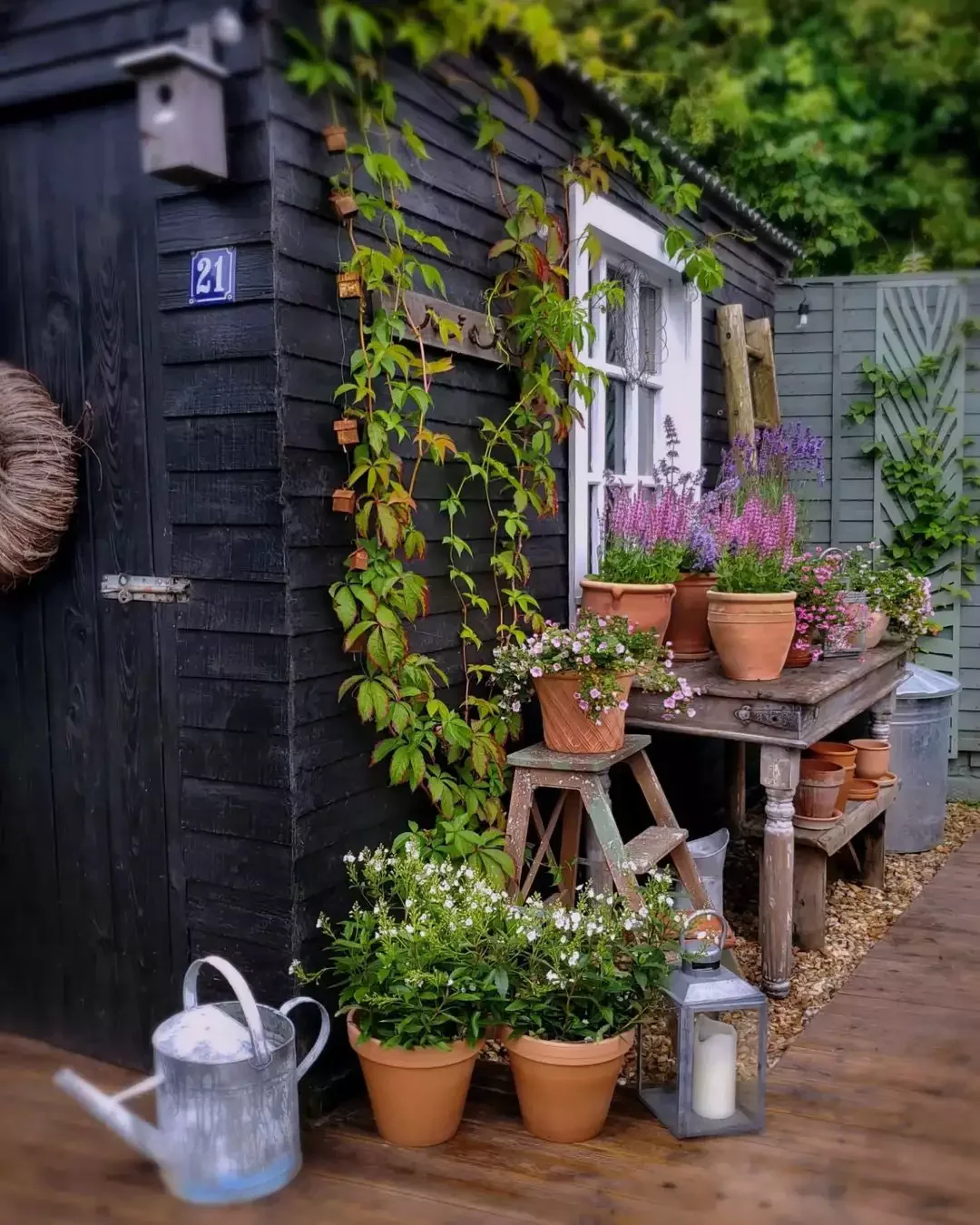 Shady Corner Garden