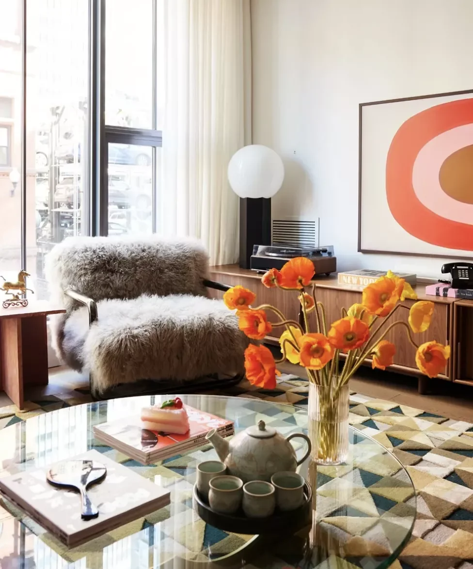 Shag Furniture