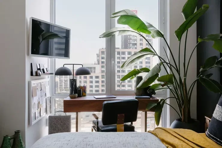 Small Wall-Mounted Shelf