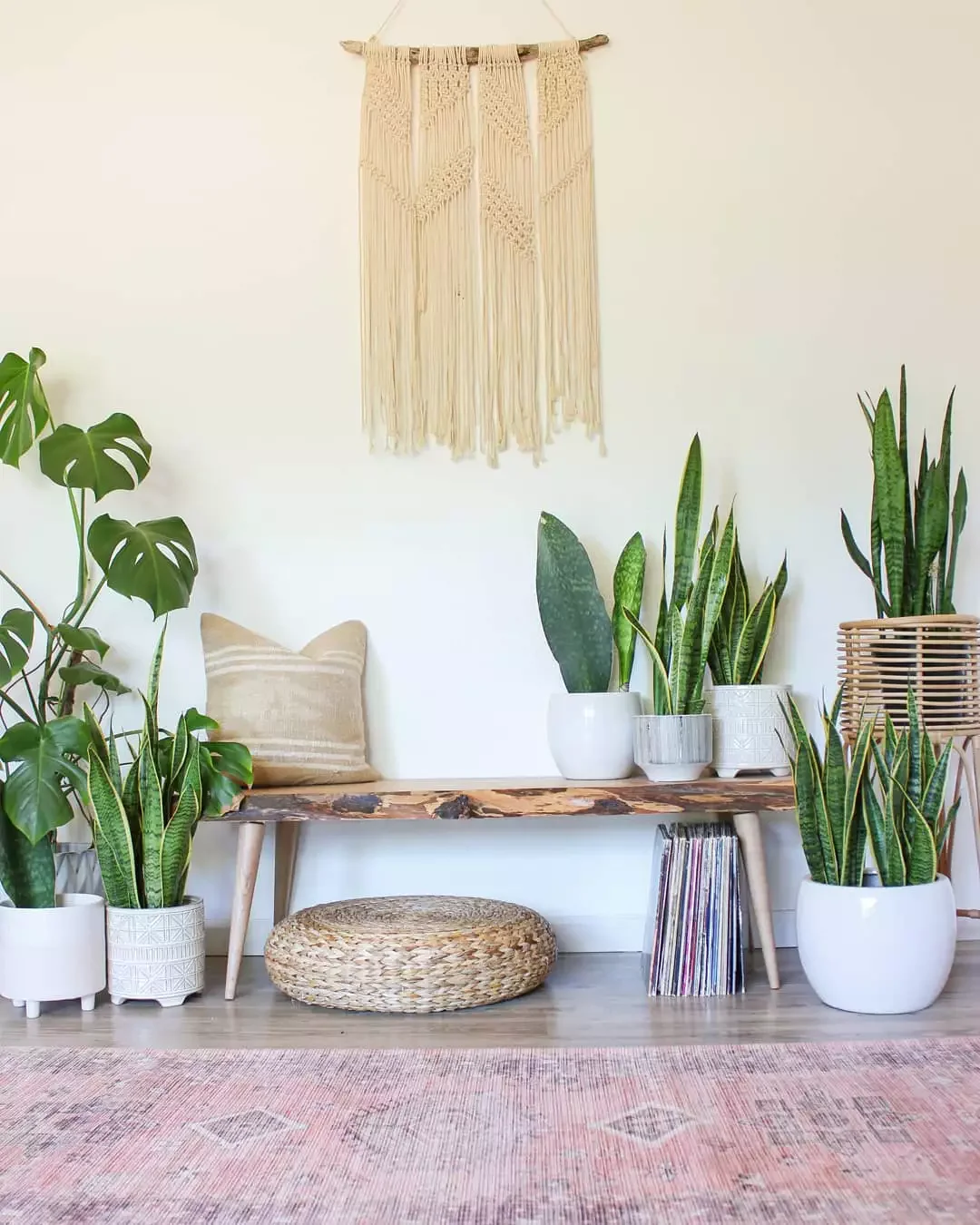 Sunroom Plant Displays
