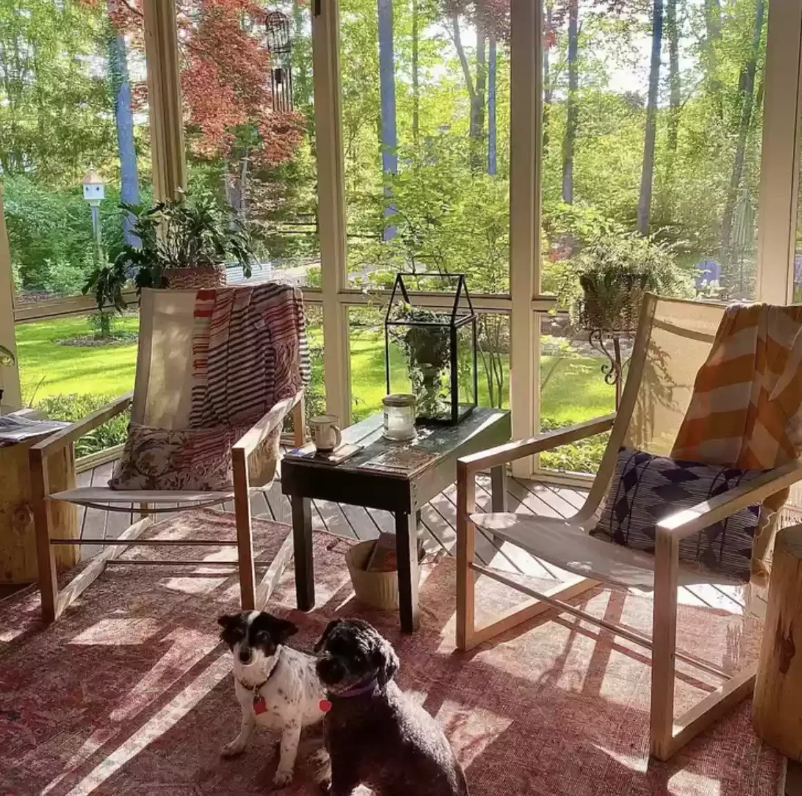 The Dog-Friendly Patio