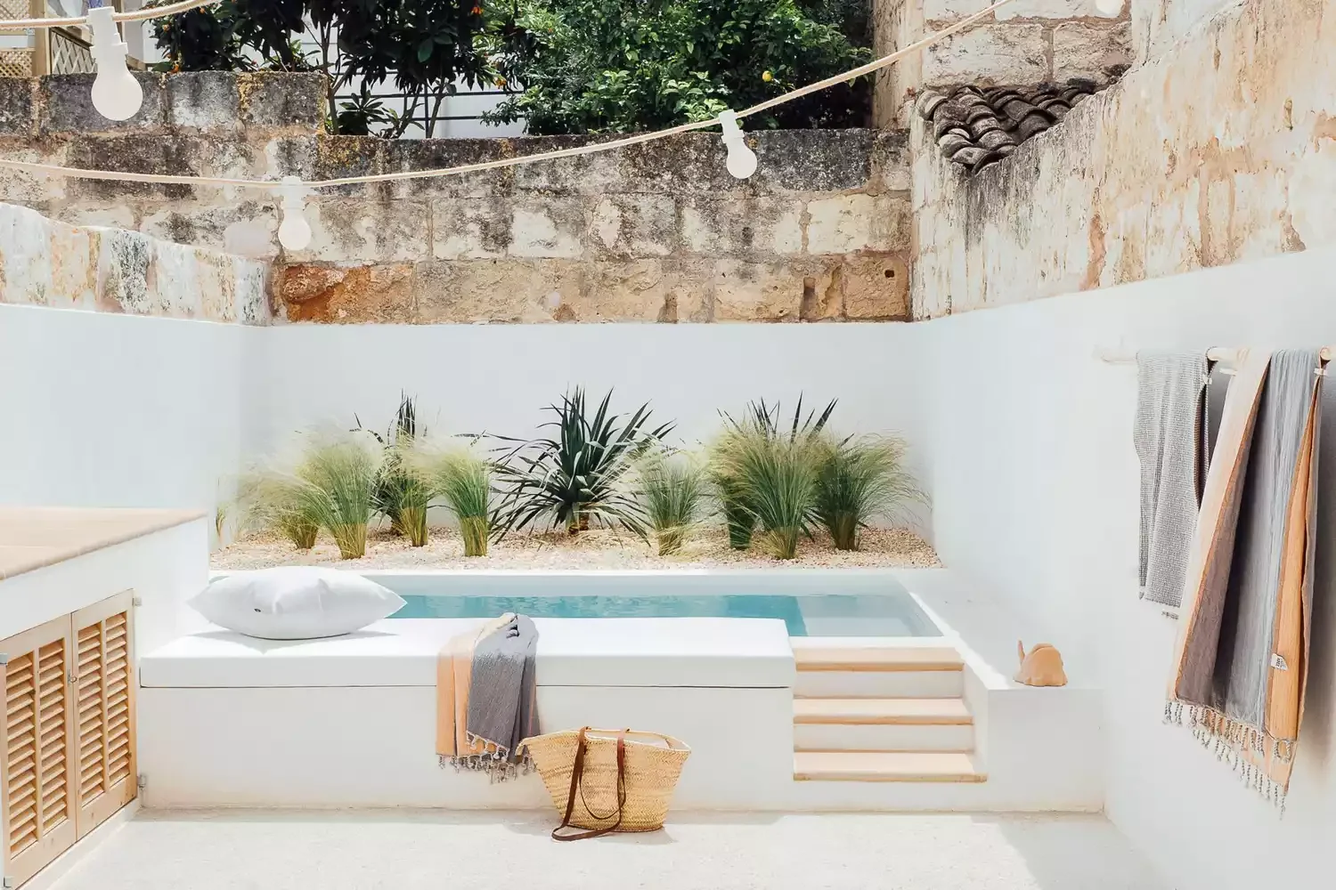 Townhouse Plunge Pool