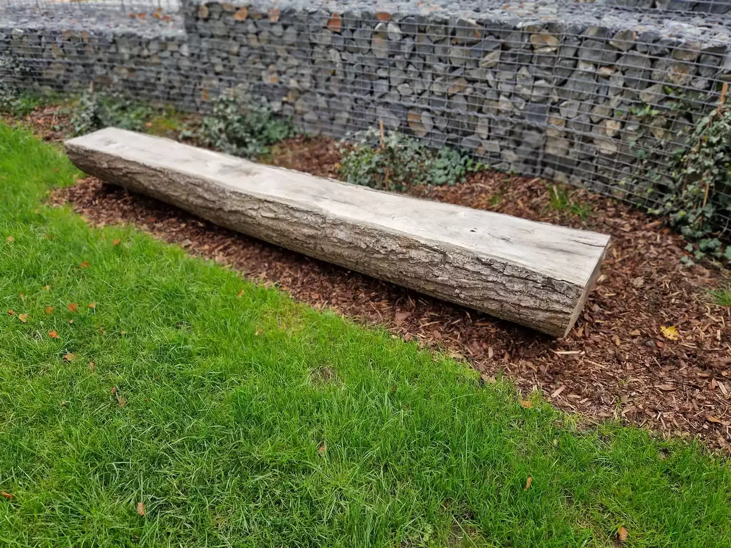 Tree Trunk Bench
