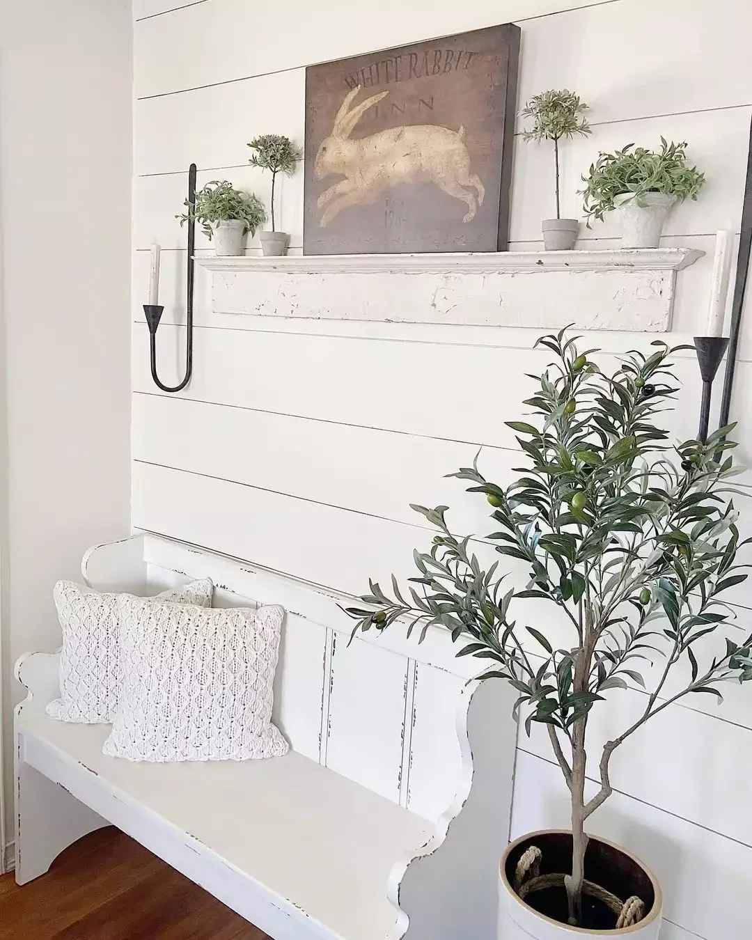 Try an Olive Tree