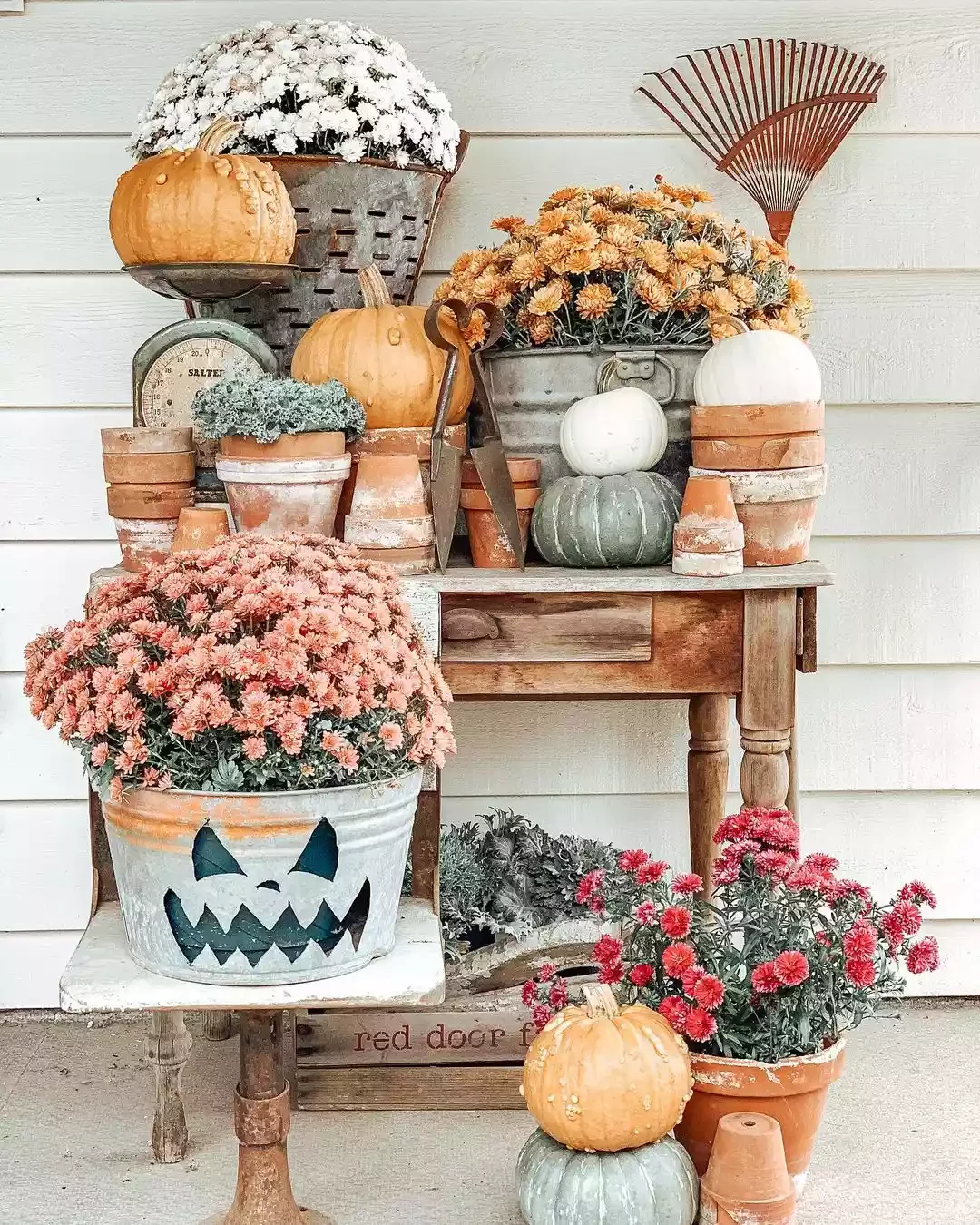 Turn Any Planter Into a Jack-O-Lantern