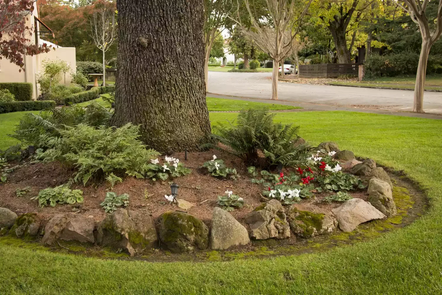 Under a Tree Garden