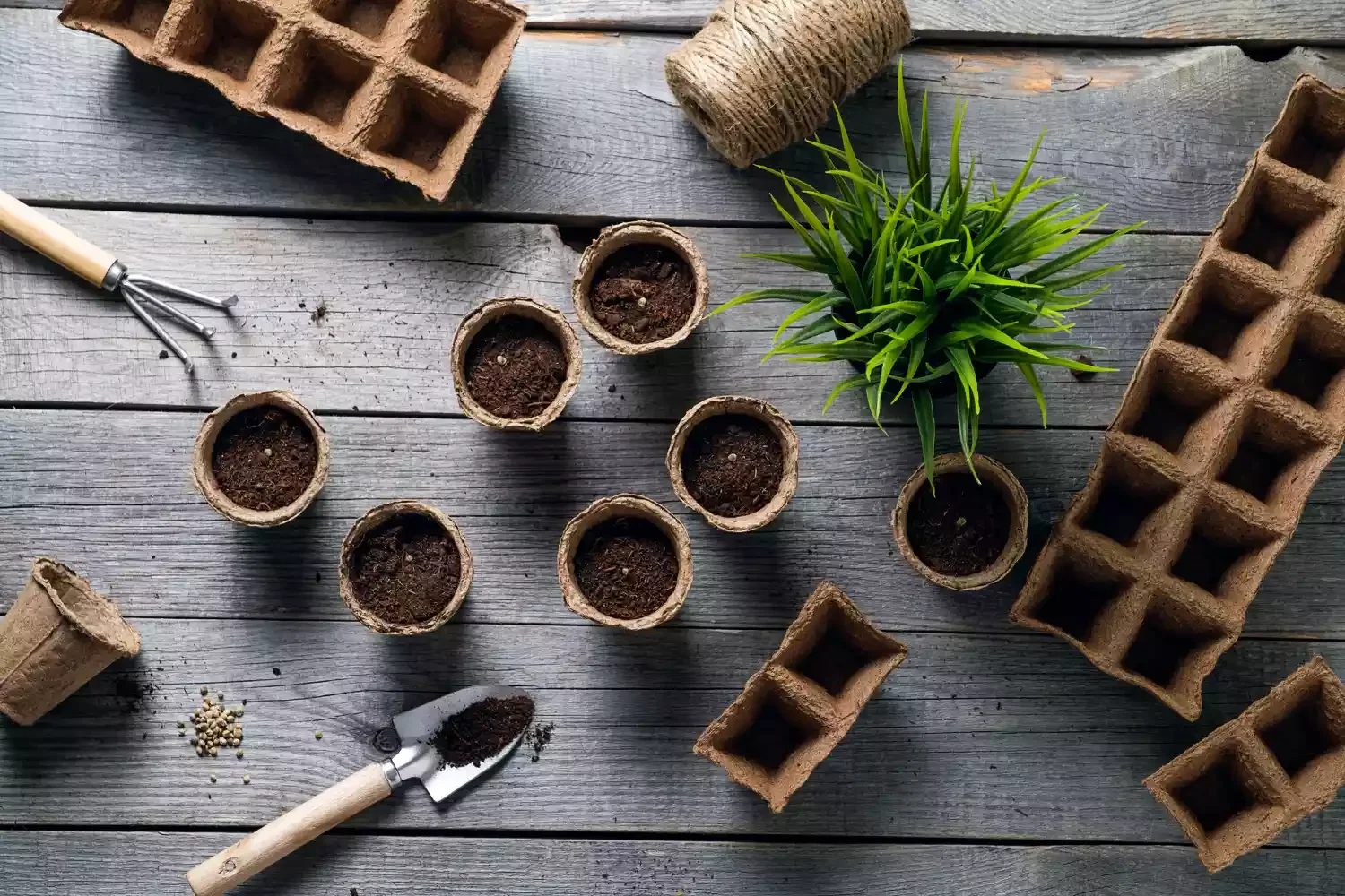 Use a Grow Kit