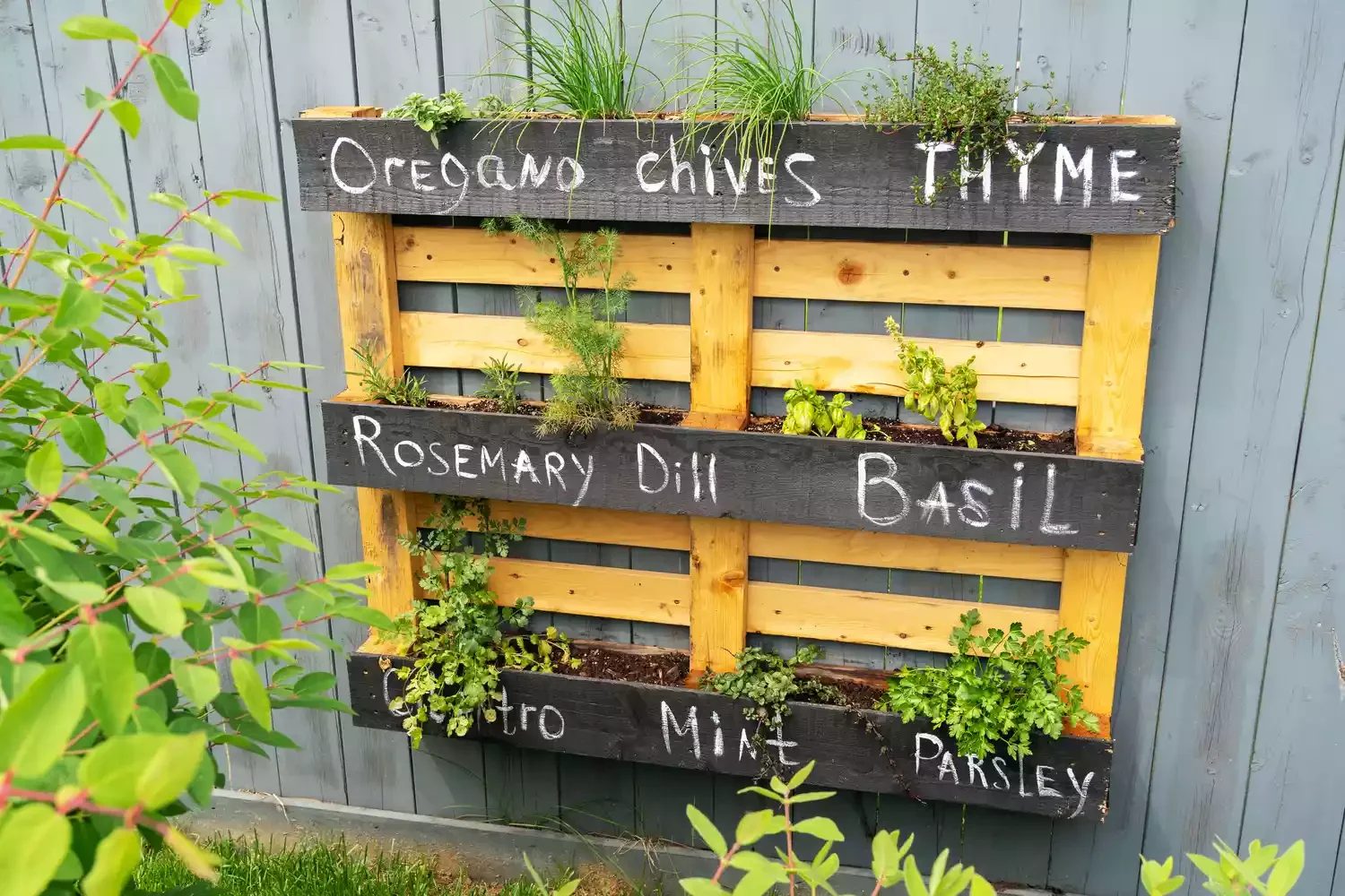 Vertical Herb Garden