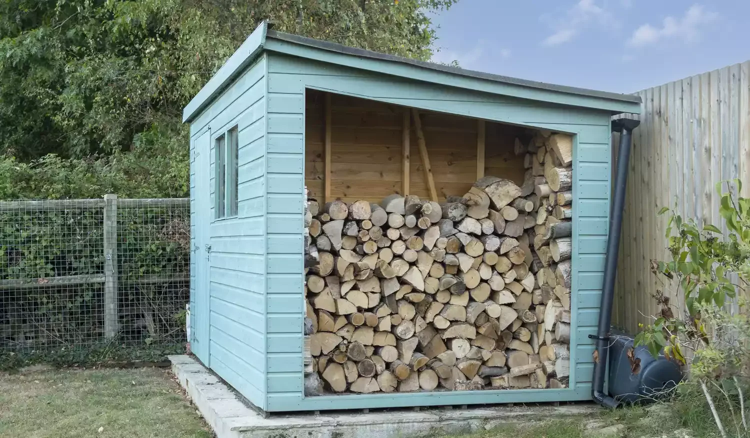 Vibrant Shed