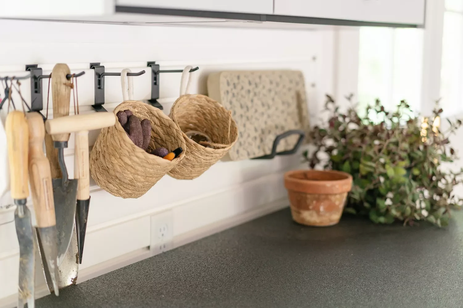 Wall-Mounted Caddies
