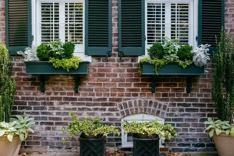 Window Boxes