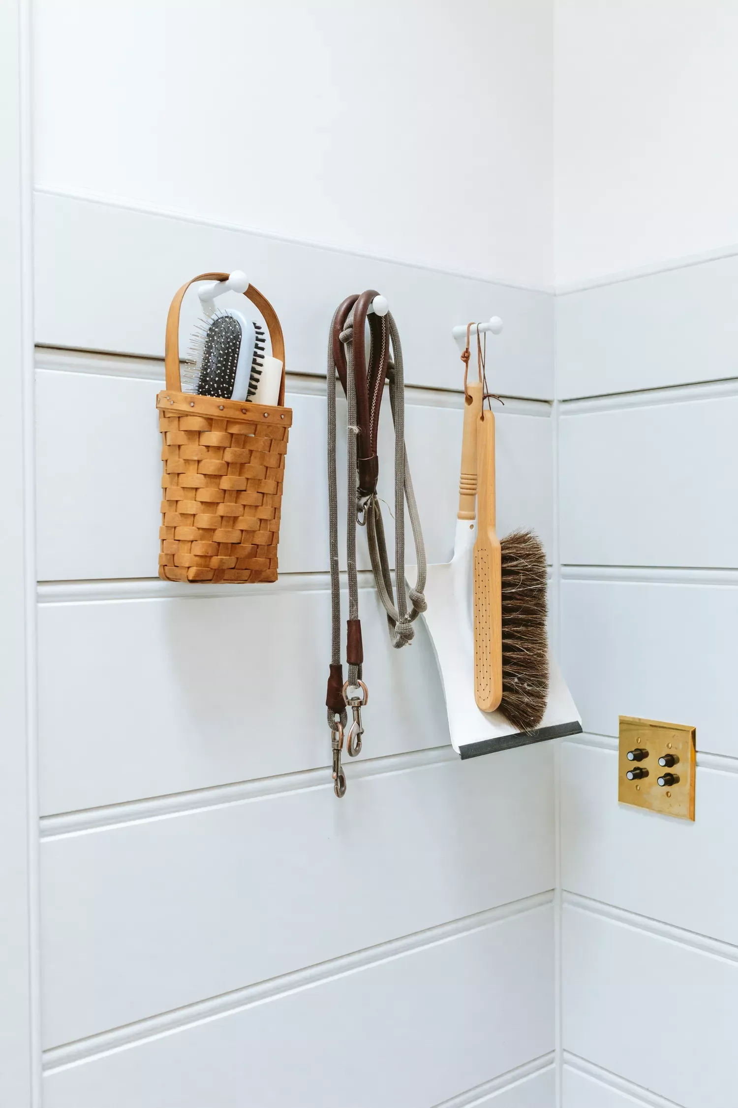 Wooden Pegs