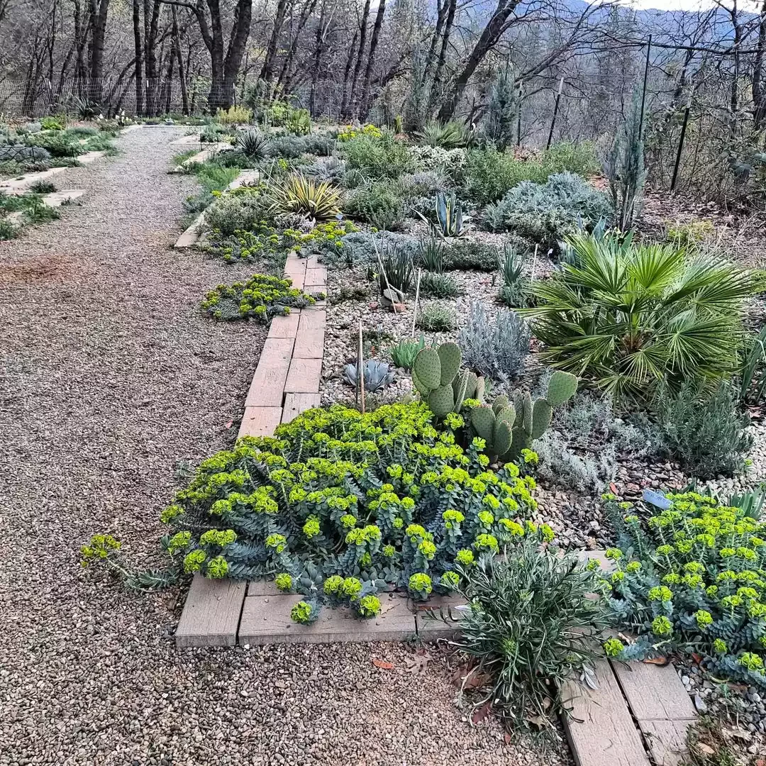 Xeriscape Pea Gravel