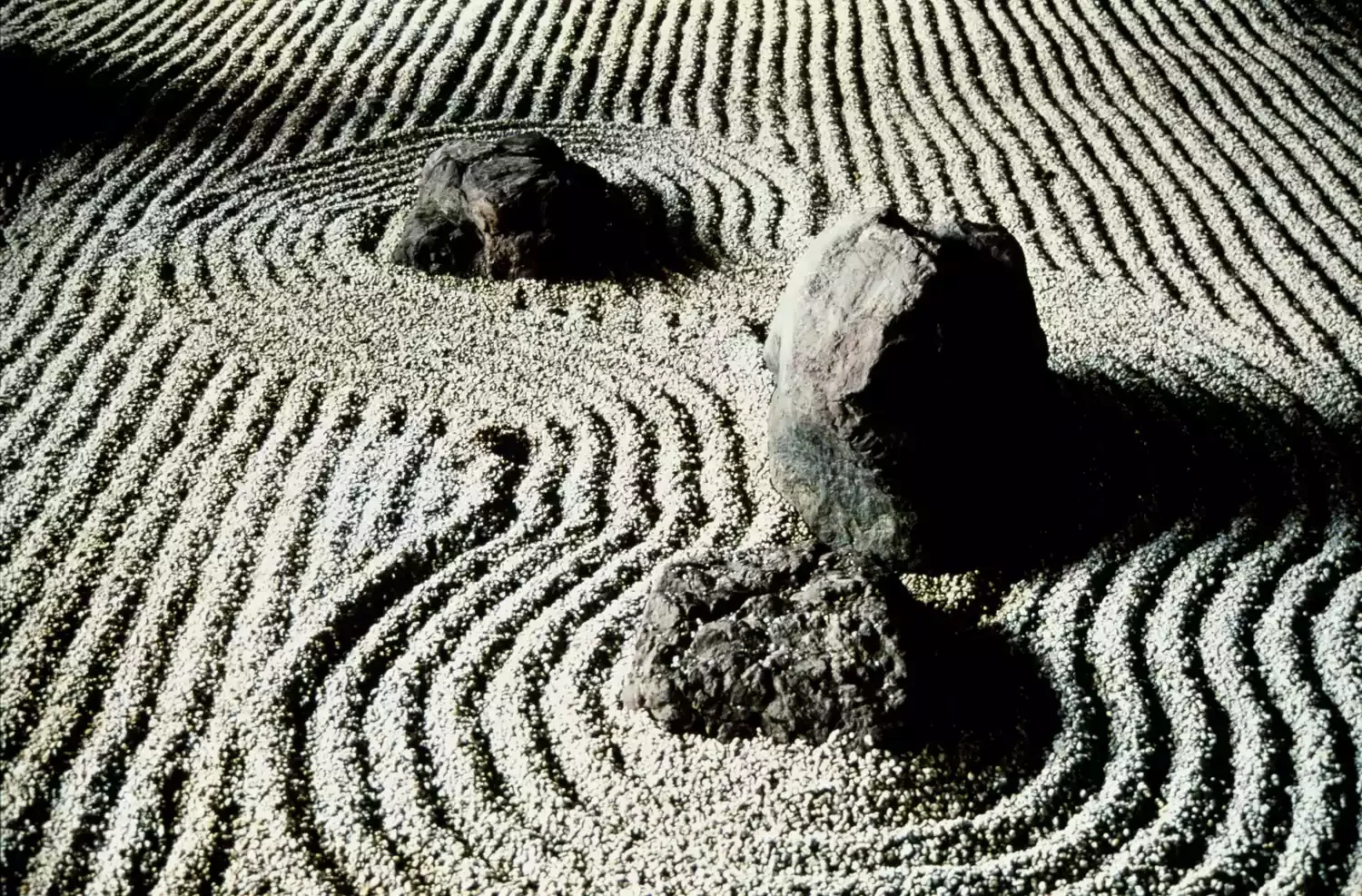 Zen Rock Garden