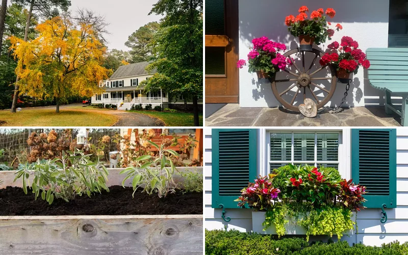 23 Budget Front Yard Landscaping Ideas That Are Easy & Gorgeous