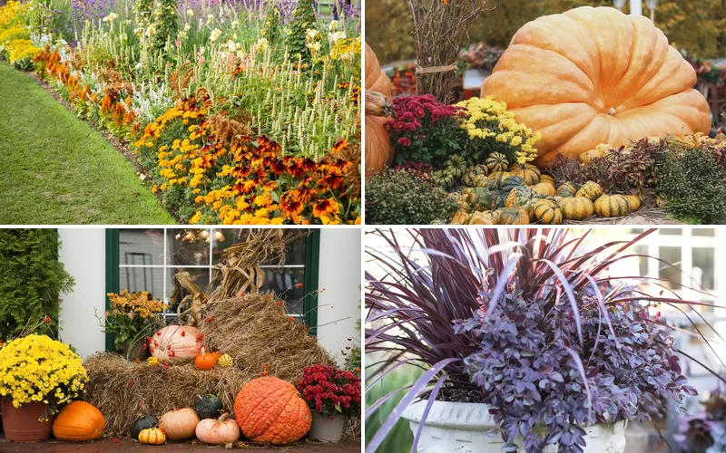 30 Autumn Garden Ideas to Keep Your Outdoor Space Beautiful