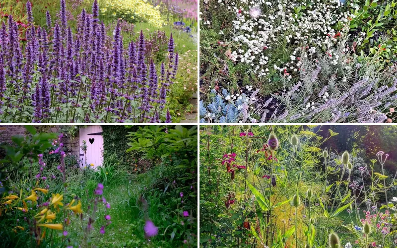 15 Beautiful Wildflower Garden Ideas for Your Backyard Haven